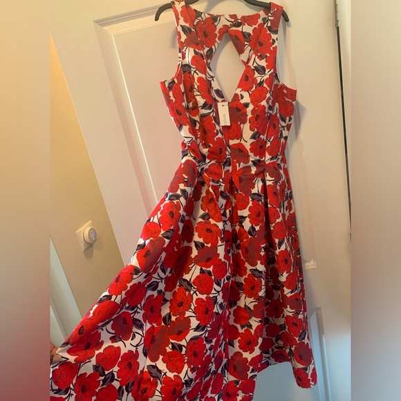 long tall sally Dresses & Skirts - NWT Long Tall Sally Size 10 Poppy Fit & Flare Dress